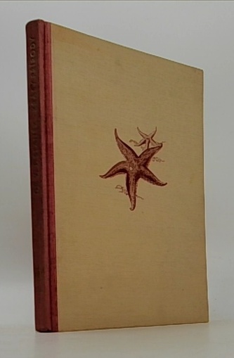 Krásy přírody s kamerou za krásami matky Země z mořských hlubin