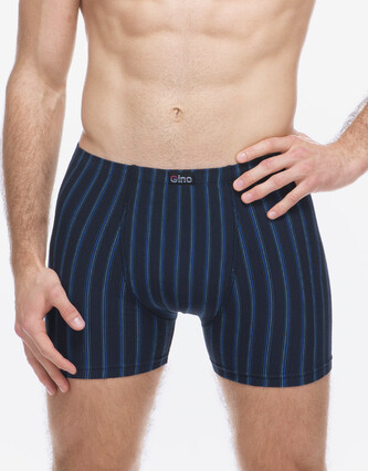 Pánské boxerky Gino vícebarevné (74178-DCMMBM) XXL