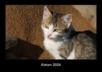 Katzen 2026 Fotokalender DIN A3