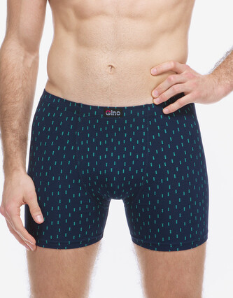 Pánské boxerky Gino vícebarevné (74181-DCMMMZ) M