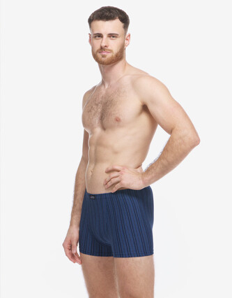 Pánské boxerky Gino vícebarevné (73138-DCMMBM) M