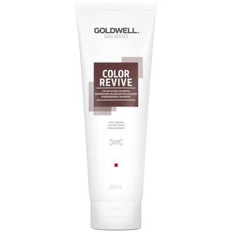 Šampon pro oživení barvy vlasů Cool Brown Dualsenses Color Revive (Color Giving Shampoo) Goldwell - 250 ml