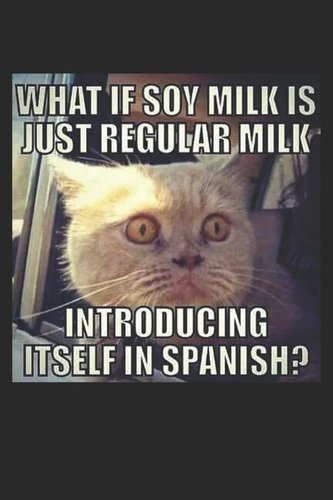 What If Soy Milk Is Just Regular Milk Introducing Itself in Spanish: Funny Cat Meme Book Caturday Gift. Perfect for School, Writ
