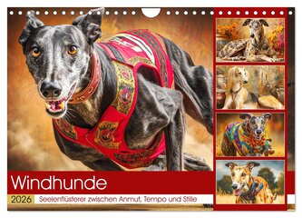 Windhunde. Seelenflüsterer zwischen Anmut, Tempo und Stille (Wandkalender 2026 DIN A4 quer), CALVENDO Monatskalender