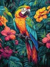 Malowanie po numerach - Tropikalny ptak 30x40cm