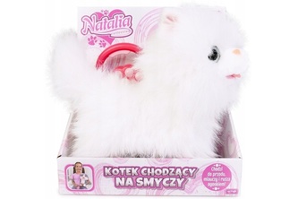 Kot chodzący na smyczy