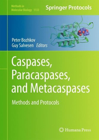 Caspases,Paracaspases, and Metacaspases