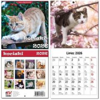 Kalendarz 2026 dla dzieci 16x32 13 plansz Kociaki