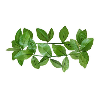 Vavřínový věnec zelený