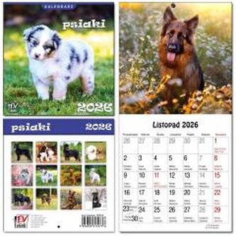 Kalendarz 2026 dla dzieci 16x32 13 plansz Psiaki