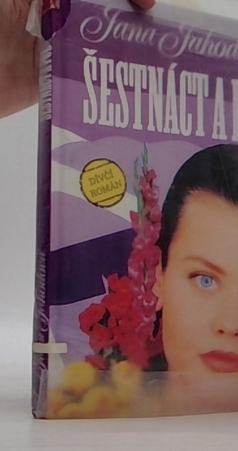 šesnáct a půl