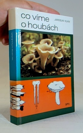 Co víme o houbách
