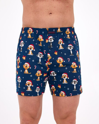 Pánské trenky Cornette Comfort vícebarevné (016/20) XXL