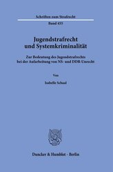 Jugendstrafrecht und Systemkriminalität