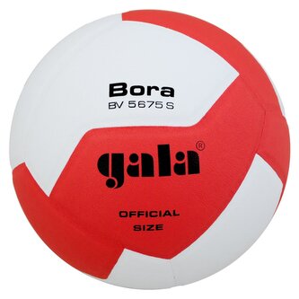 Míč volejbal Gala Bora 10 BV5675S (Syntetická kůže/Textil)