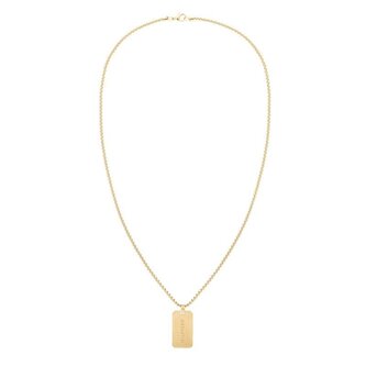 Stylový pozlacený náhrdelník 2790484 Tommy Hilfiger