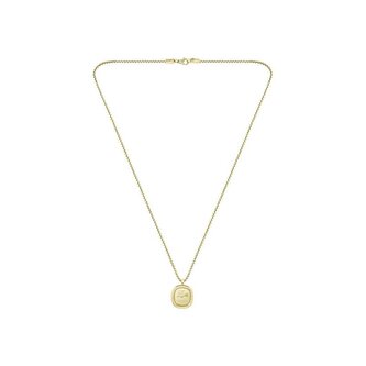 Stylový pozlacený náhrdelník 2040411 Lacoste