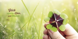 Glück ist die Summe schöner Momente!