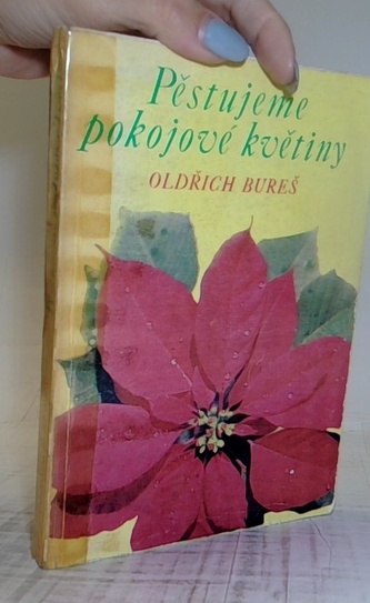 Pěstujeme pokojové rostliny