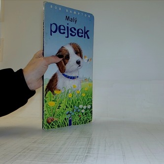 Malý pejsek