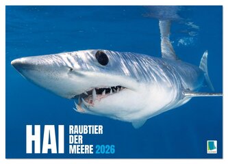 Hai: Raubtier der Meere (Wandkalender 2026 DIN A4 quer), CALVENDO Monatskalender
