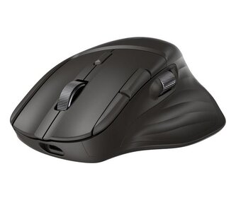 HP Ultra-Fast Scroll Wireless Mouse 785M