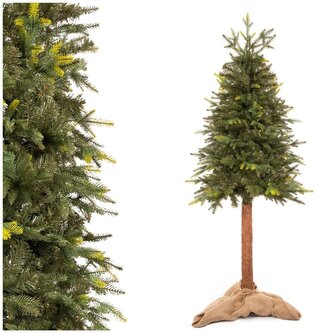 Vánoční stromek Smrk přírodní na kmínku 180 cm