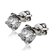 ZB29210-5 Stříbrné náušnice - zirkony 5 mm