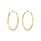 NB-3118-30 Zlacené stříbrné náušnice kruhy 30 mm