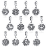 NB-8078-07 Stříbrný přívěšek korálek znamení horoskopu - znamení zvěrokruhu - rak