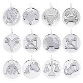 NB-4223-09 Stříbrný přívěšek - znamení - znamení zvěrokruhu - blíženci