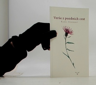 Verše z pozdních cest