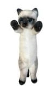 Kot stojący syjamski 25cm