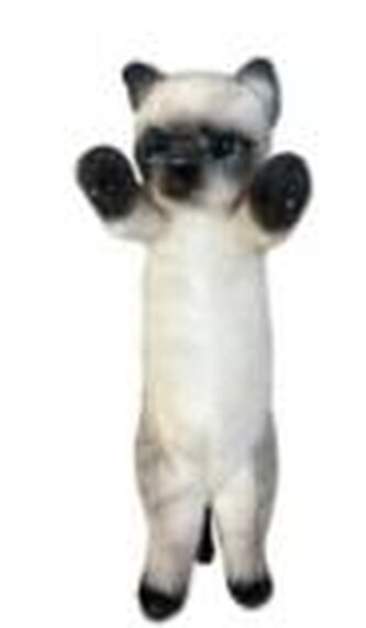 Kot stojący syjamski 25cm