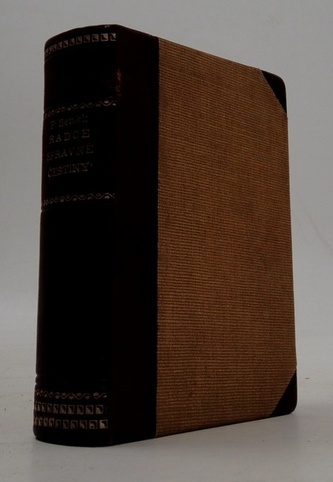 Rádce správné češtiny