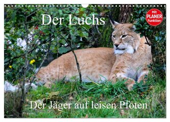 Der Luchs - Der Jäger auf leisen Pfoten (Wandkalender 2026 DIN A3 quer), CALVENDO Monatskalender