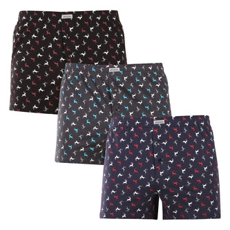 3PACK pánské trenky Andrie vícebarevné (PS 5837) M