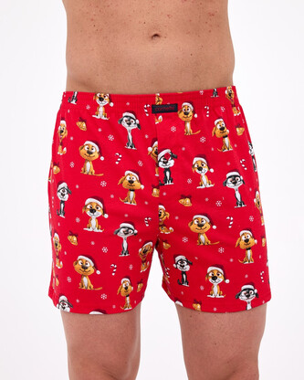 Pánské trenky Cornette Comfort vícebarevné (016/21) XL