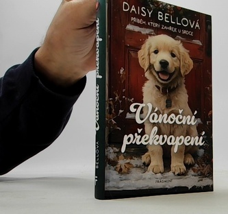 Vánoční překvapení (Příběh, který zahřeje u srdce)