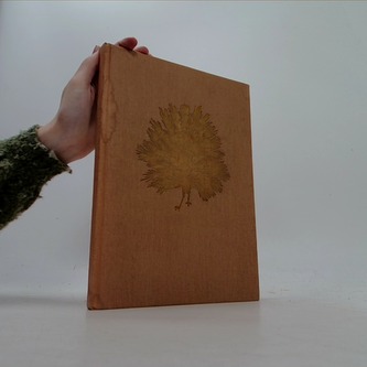 Pohádky z tisíce a jedné noci