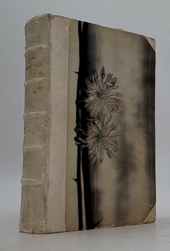 Arrowsmith román vědce