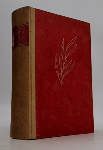 Jih proti severu-V bouři