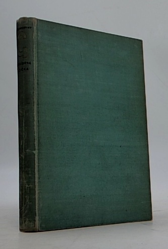 Stříbrná lžička