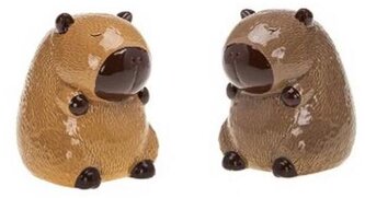 Skarbonka Kapibara, Rozette