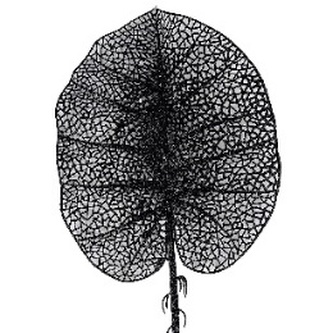 Liść ażurowy czarny zdobiony cekinami i brokatem dł. 82cm, Ziemia Obiecana