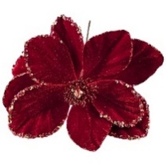 Poisencja z materiału śr. 31cm, Ziemia Obiecana