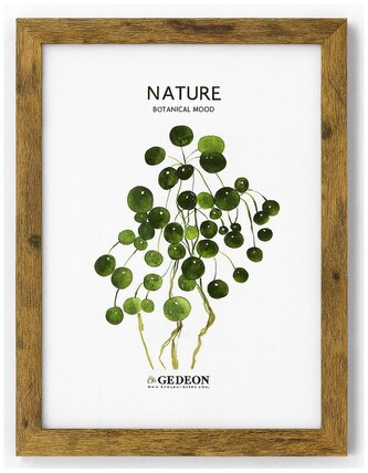 Ramka drewniana 15x21cm D215, Gedeon