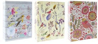 Album kieszeniowy klejony 10x15cm 304 zdjęcia Newflorid, Gedeon