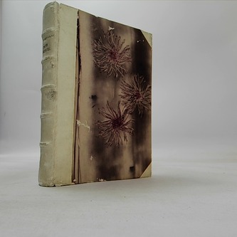 Petr Bruegel - Co jako vůně zavanulo z jehp díla