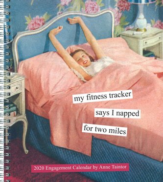 Anne Taintor 2020 Engagement Calendar: (2020 Engagement Calendar, 2020 Planners and Organizers for Women, 2020 Meeting Calendars